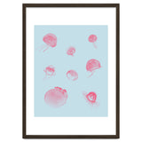 Jellyfish thumbnail