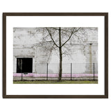 A tree in front of the wall thumbnail