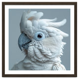 White Cockatoo Bird Portrait Close Up thumbnail