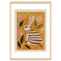 Striped Hare