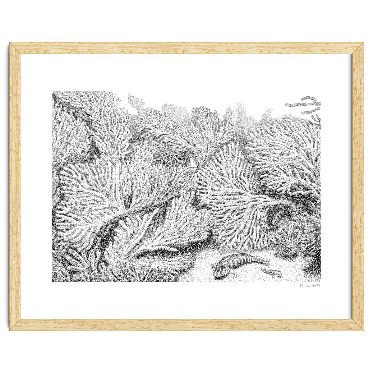 Hidden in plain sight