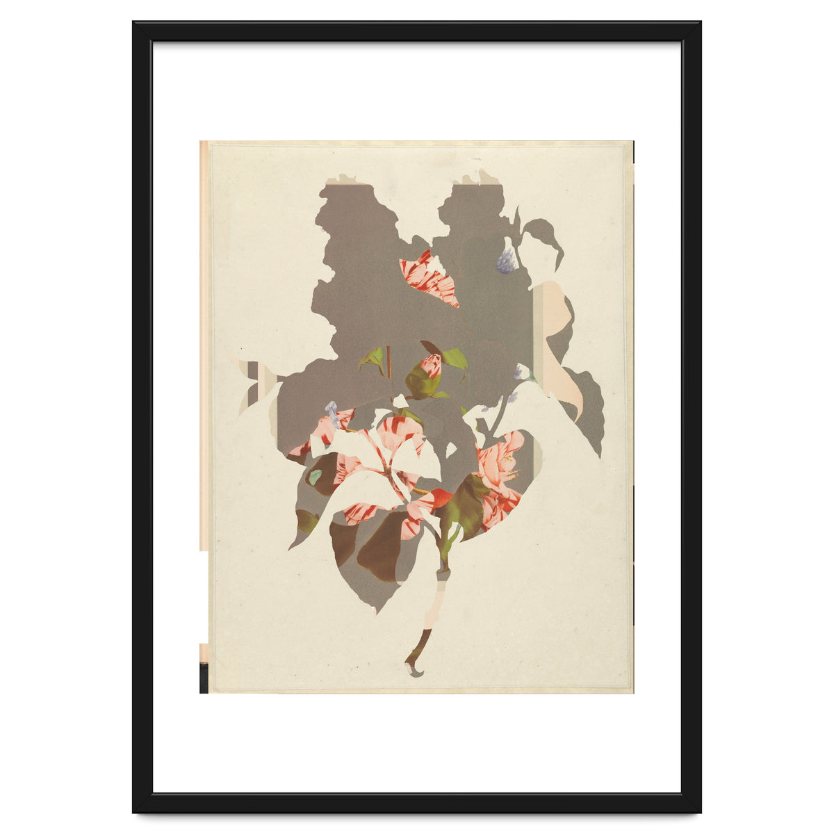 The First Plant · M2