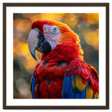 Scarlet Macaw Parrot Close Up Portrait thumbnail