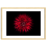 Backyard Flowers No 45 Color Flow Version thumbnail