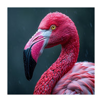 Close Up Pink Flamingo In Rain Drops (Print Only)