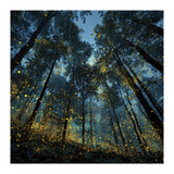 Celestial Forest Canopy with Swirling Golden Fireflies and Deep Twilight Blue Sky Digital Art (Print Only) thumbnail