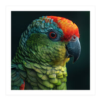 Close Up Colorful Parrot Bird Feather (Print Only)
