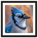 Blue Jay Bird Close Up Detailed Portrait thumbnail