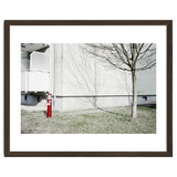 Red light pole and Tree shadow on the wall thumbnail