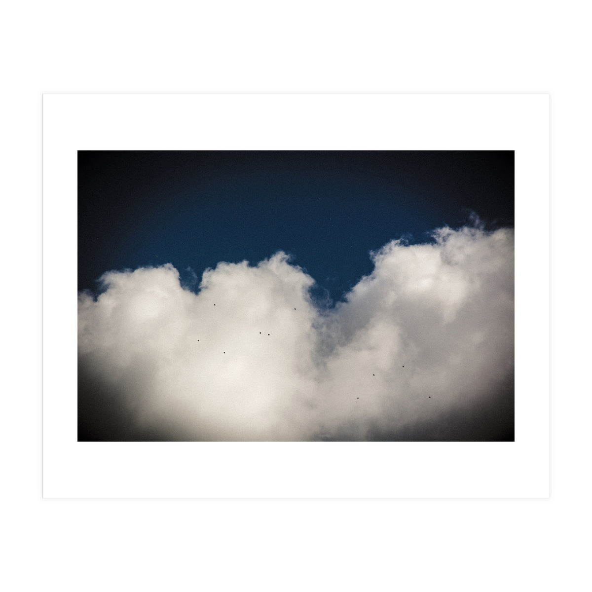 Balloons (Print Only)