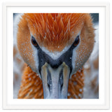 Close Up Of A Pelican's Beak With Water Droplets thumbnail