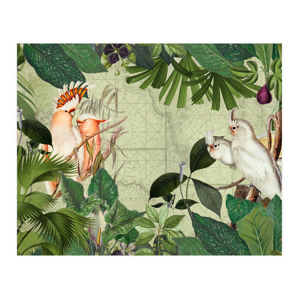 Cockatoo Island Green (Print Only)