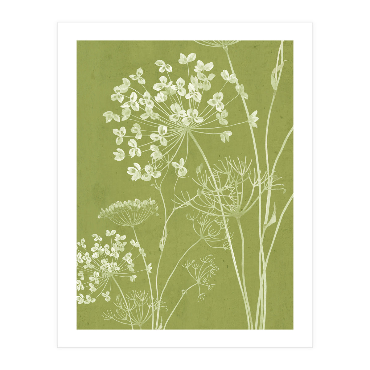Wildflowers III (Print Only)