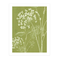Wildflowers III (Print Only)