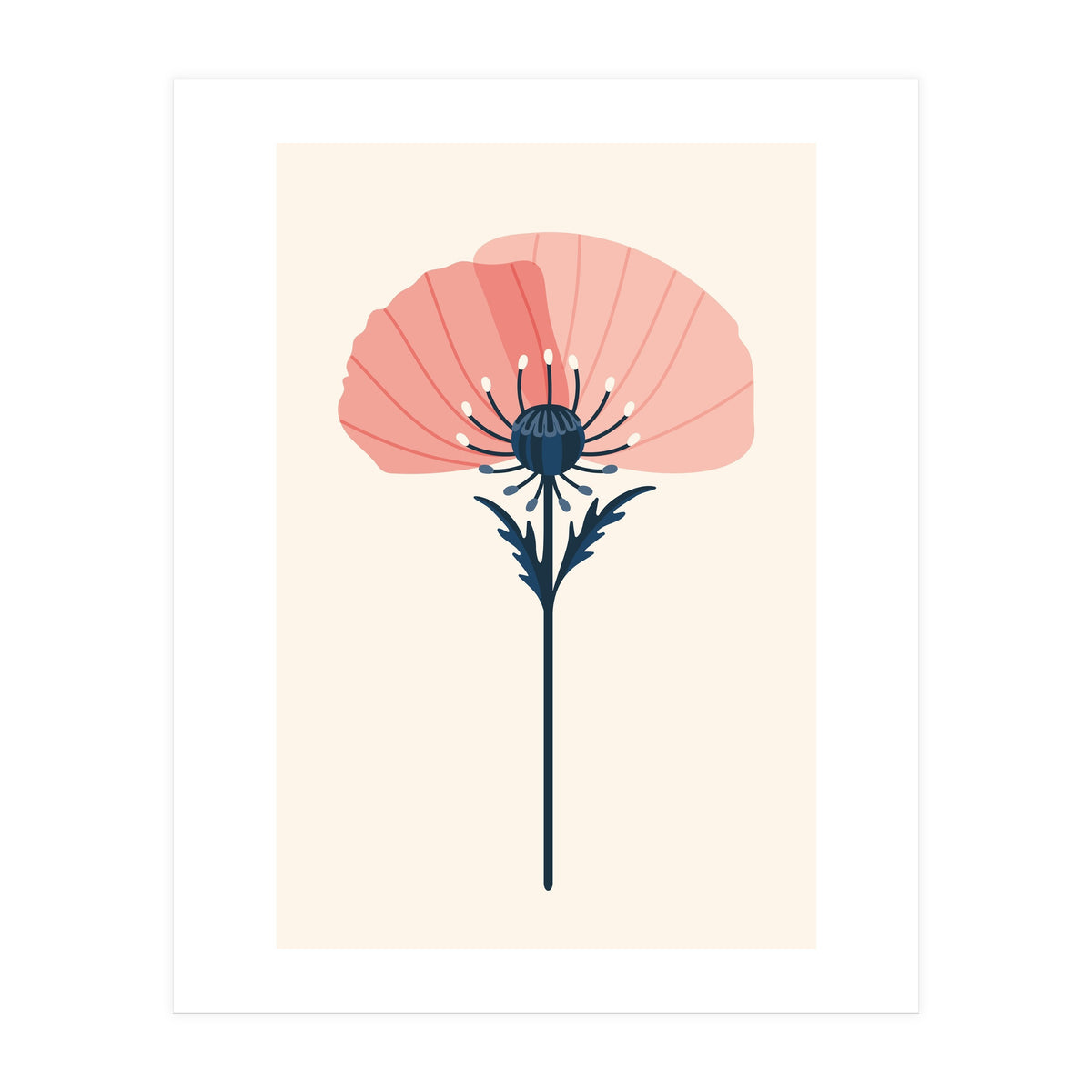 Pink Half Poppy (Print Only)