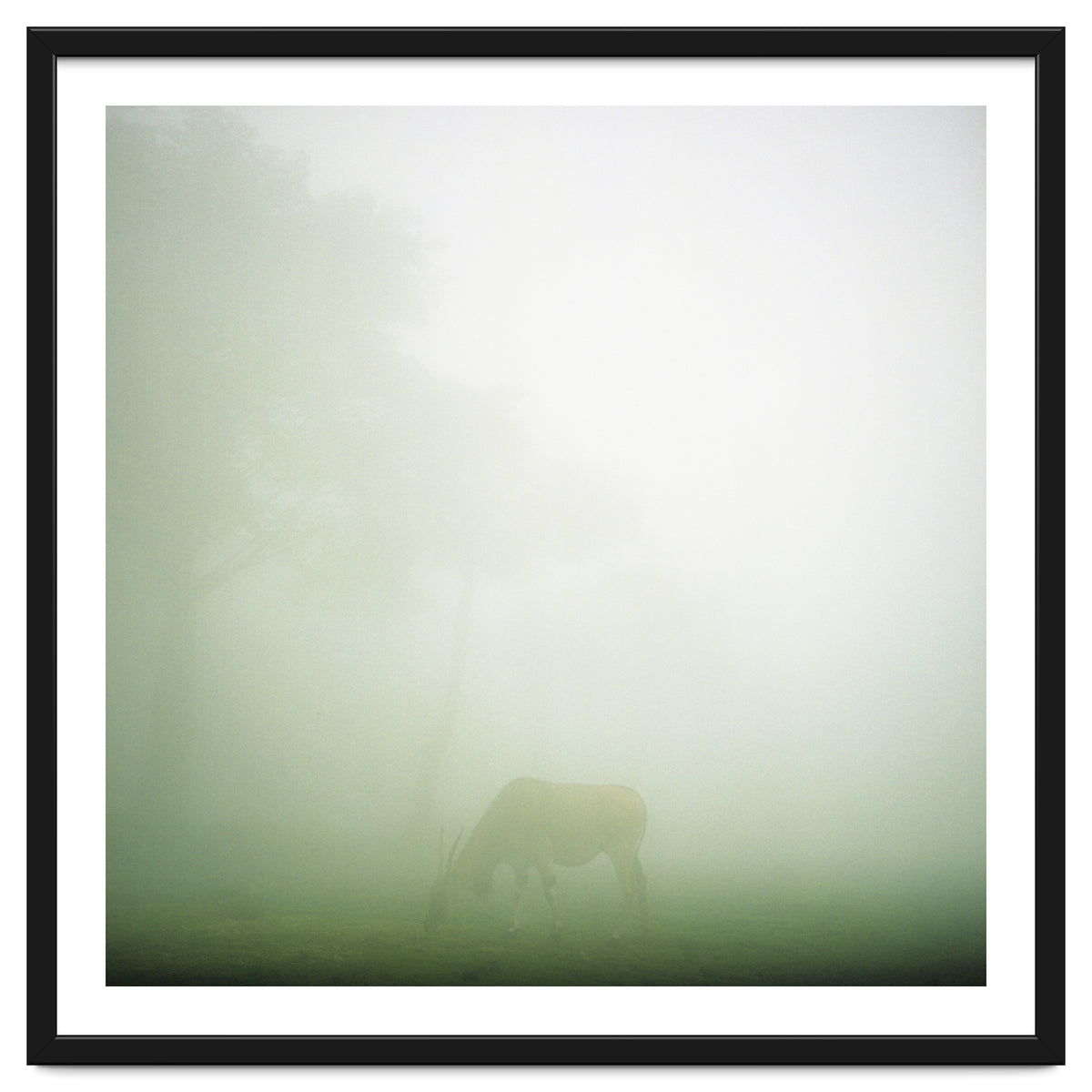 Silence of breath - 09