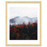 Fog thumbnail