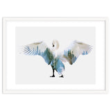 Swan thumbnail