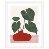 Philodendron Gloriosum plant thumbnail