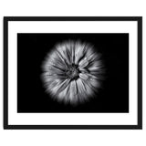 Backyard Flowers In Black And White No 10 Flow Version thumbnail