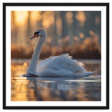 Majestic Swan Gliding On Water At Sunset thumbnail