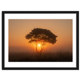 Tree at sunrise thumbnail