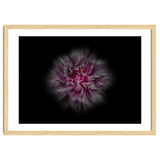 Backyard Flowers No 116 Color Flow Version thumbnail