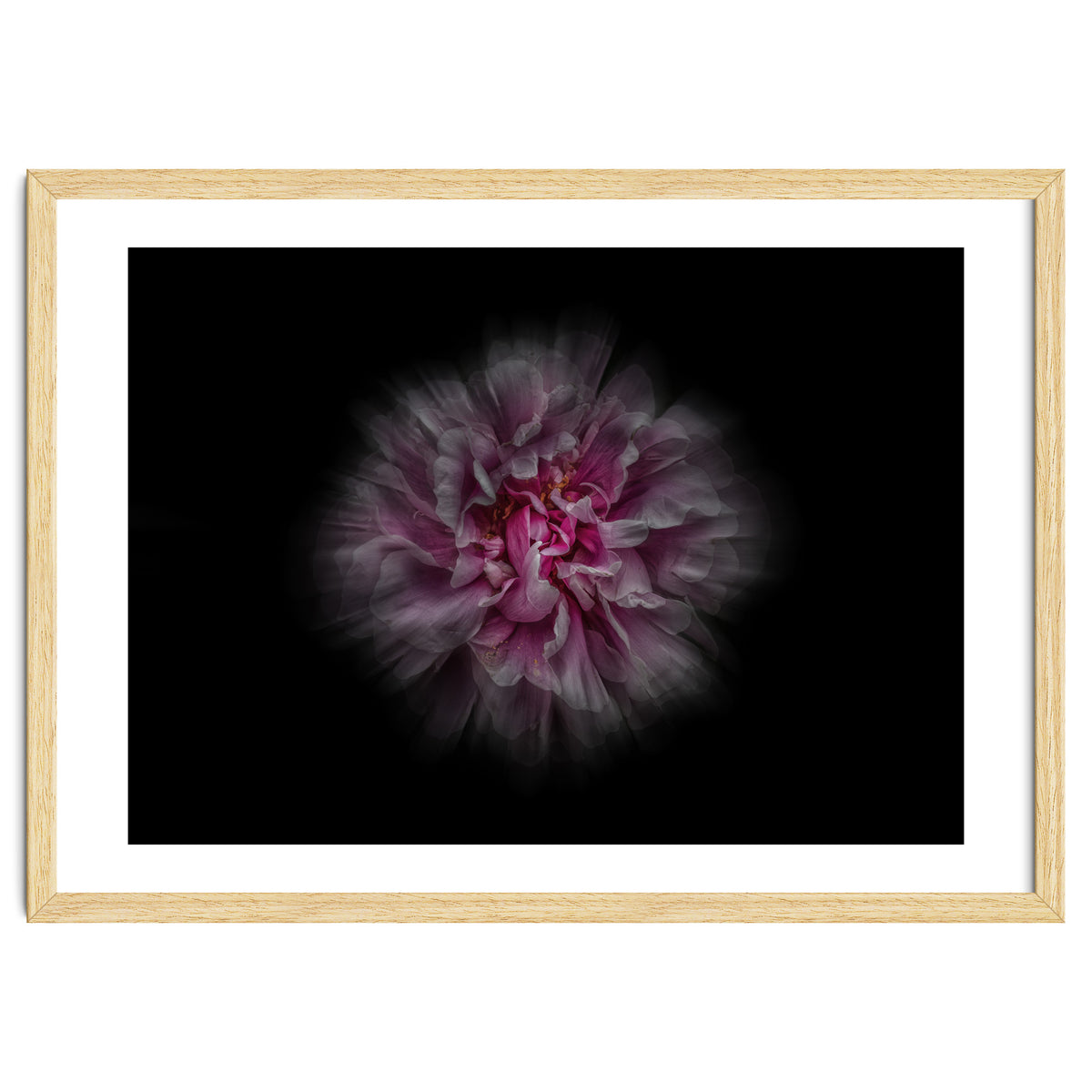 Backyard Flowers No 116 Color Flow Version