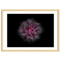 Backyard Flowers No 116 Color Flow Version