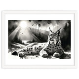 Lynx Resting In Sunlight thumbnail