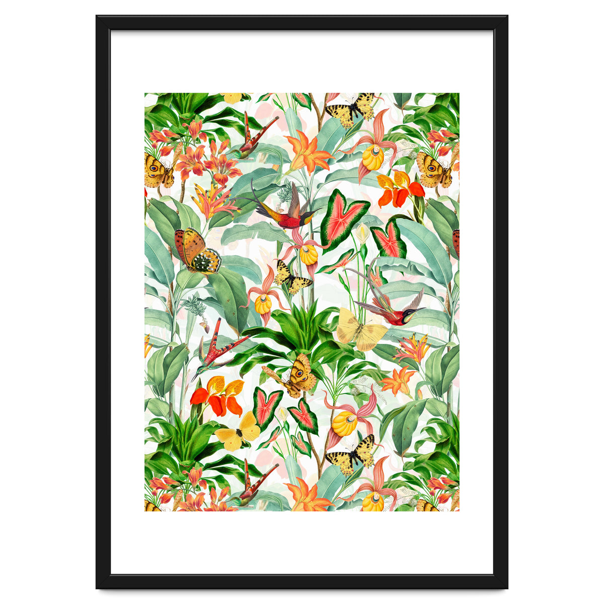 Birds And Butterflies In Tropical Jungle