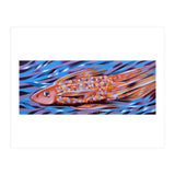 Little fish (Print Only) thumbnail