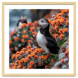 Atlantic Puffin Bird Perched On Orange Flowers thumbnail