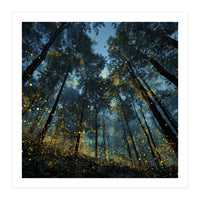 Celestial Forest Canopy with Swirling Golden Fireflies and Deep Twilight Blue Sky Digital Art (Print Only)