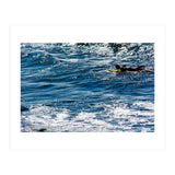 Forward (Print Only) thumbnail