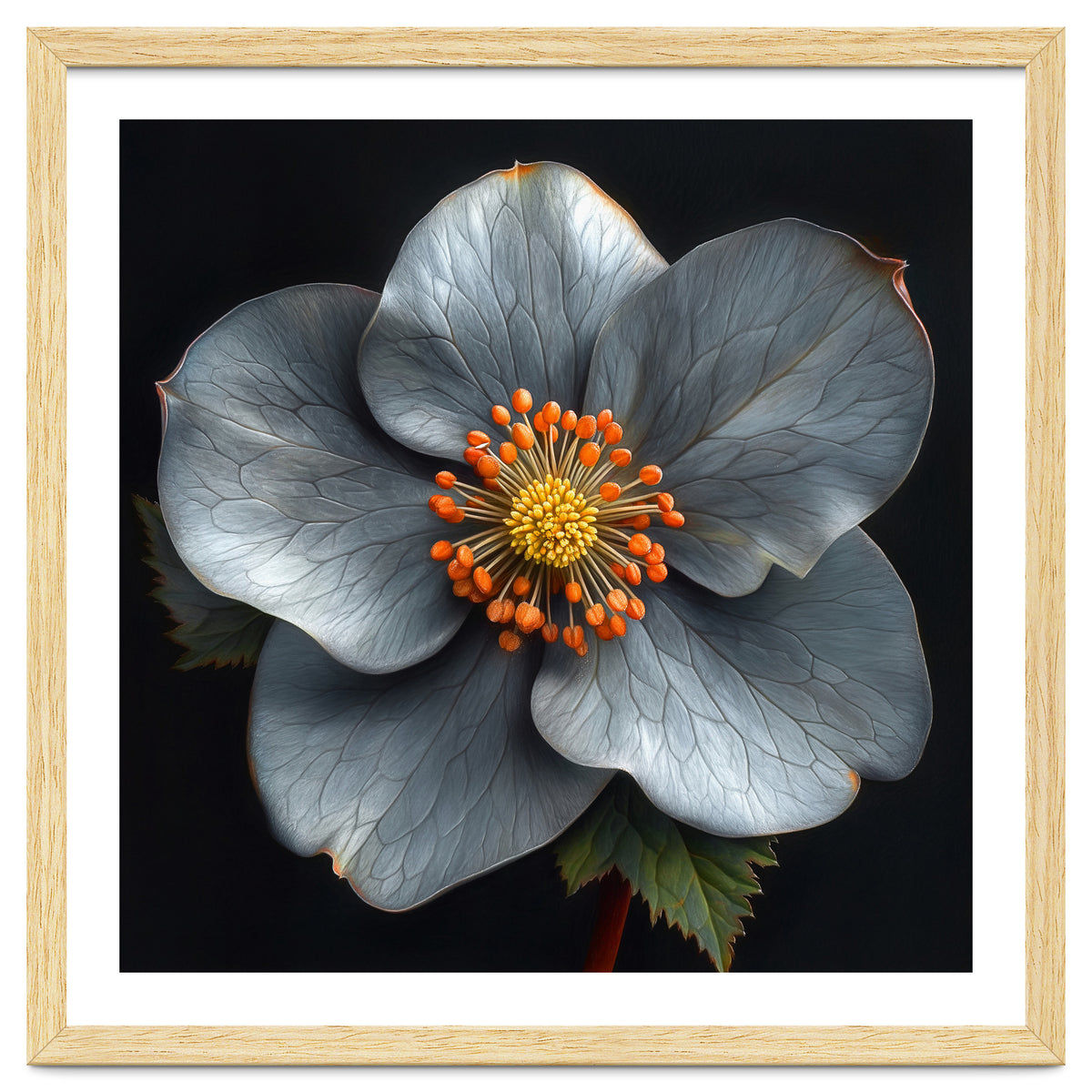 Hellebore | Silver Magic