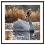 Majestic Swan On Calm Water During Sunset Nature Scene thumbnail