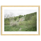 Green grass wall thumbnail
