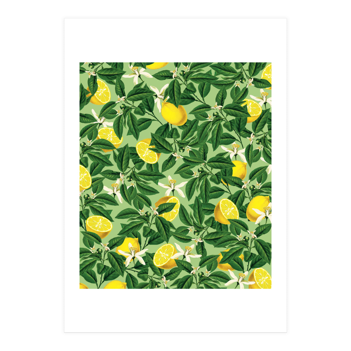 Lemonade Garden, Green Fresh Lemon Botanical Illustration, Vibrant Summer Tropical Fruit Nature (Print Only)