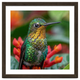 Close Up Of A Hummingbird On Red Flowers thumbnail
