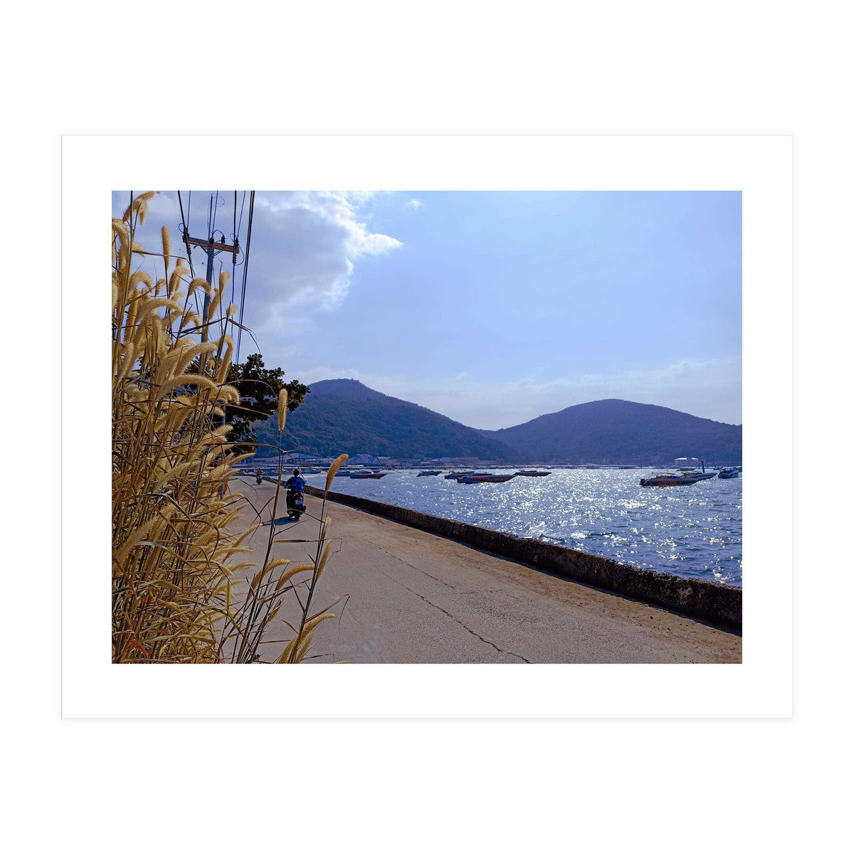 Motorcycle Diaries (Print Only)