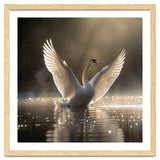 Graceful Swan Spreading Wings On Sparkling Water thumbnail
