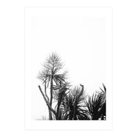 Miminalist Palm (Print Only)