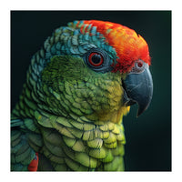 Close Up Colorful Parrot Bird Feather (Print Only)