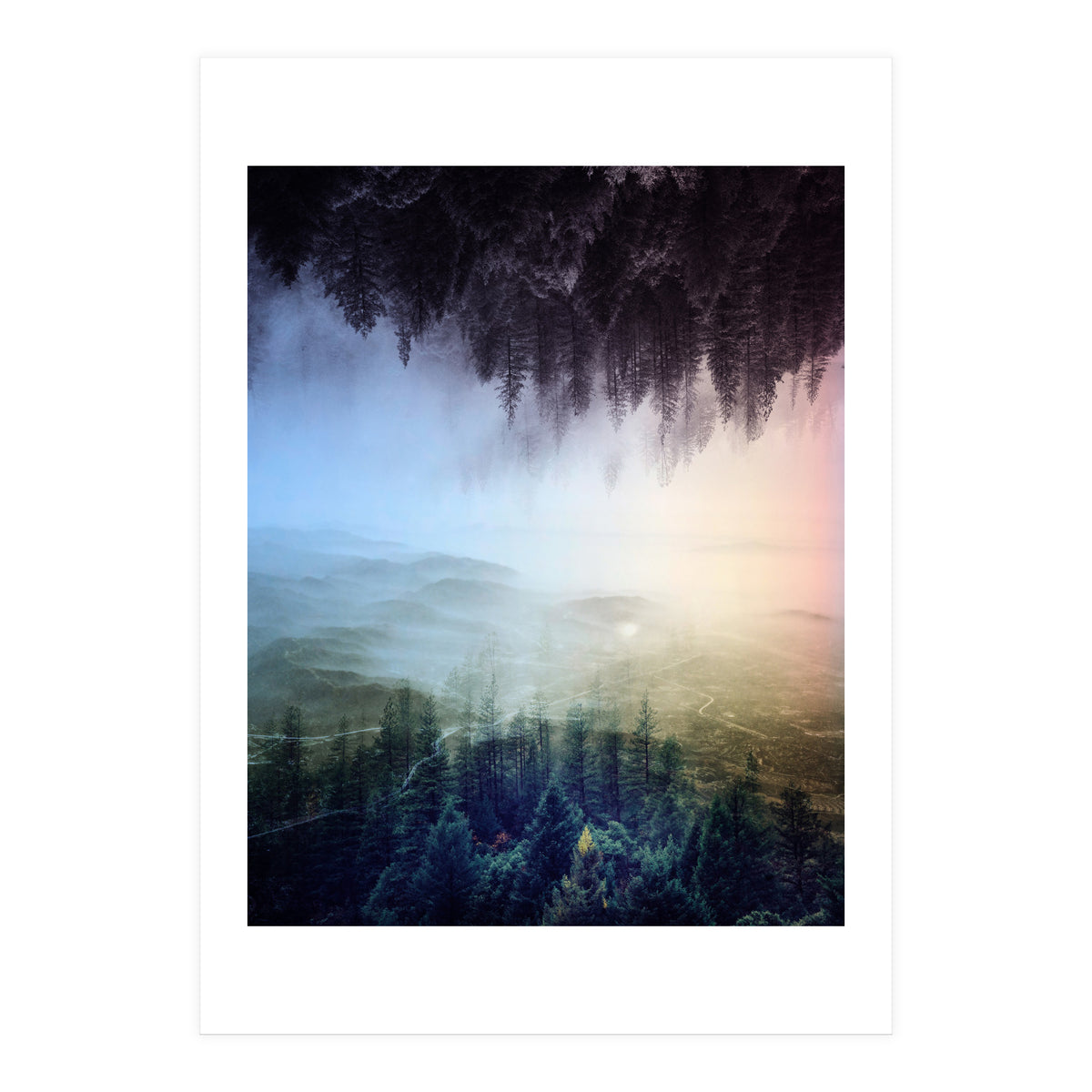 Magic Woods (Print Only)