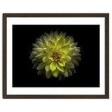 Backyard Flowers No 128 Color Version thumbnail