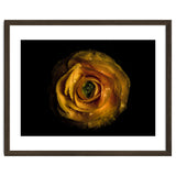 Backyard Flowers No 72 Color Version thumbnail