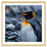 King Penguin Standing In Snowfall Outdoors thumbnail