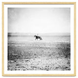 Sea Horse thumbnail