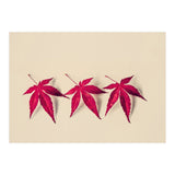 Dancing Leaves (Print Only) thumbnail